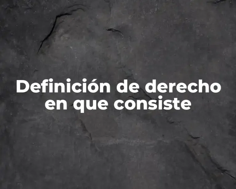 Definición de derecho en que consiste