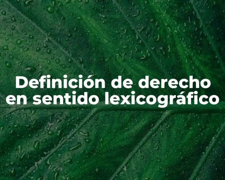 Definición de derecho en sentido lexicográfico