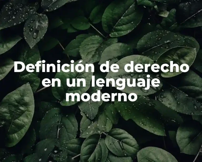 Definición de derecho en un lenguaje moderno