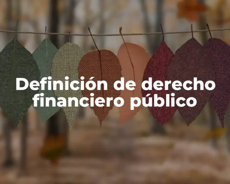 Definición de derecho financiero público