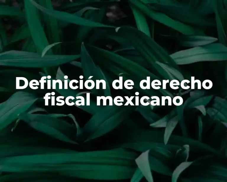 Definición de derecho fiscal mexicano