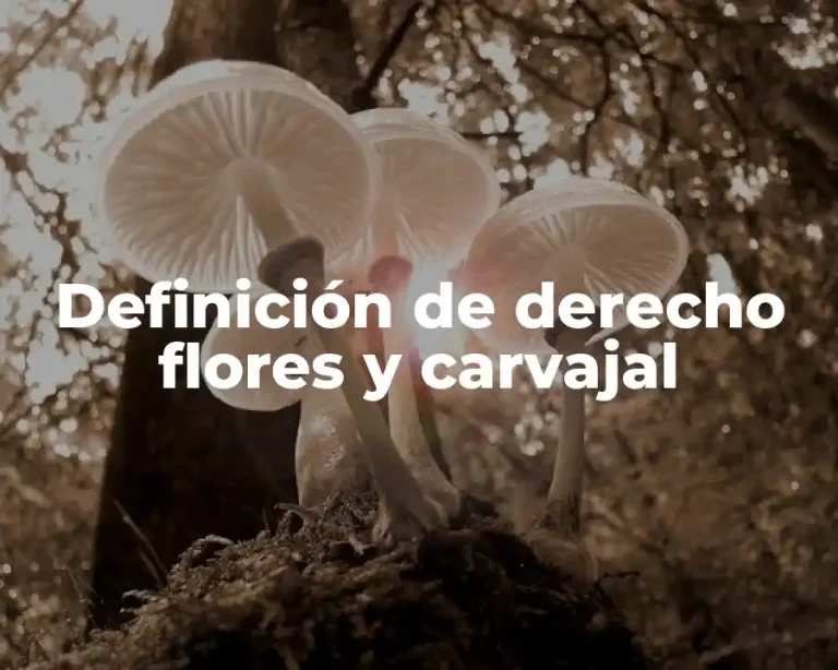 Definición de derecho flores y carvajal