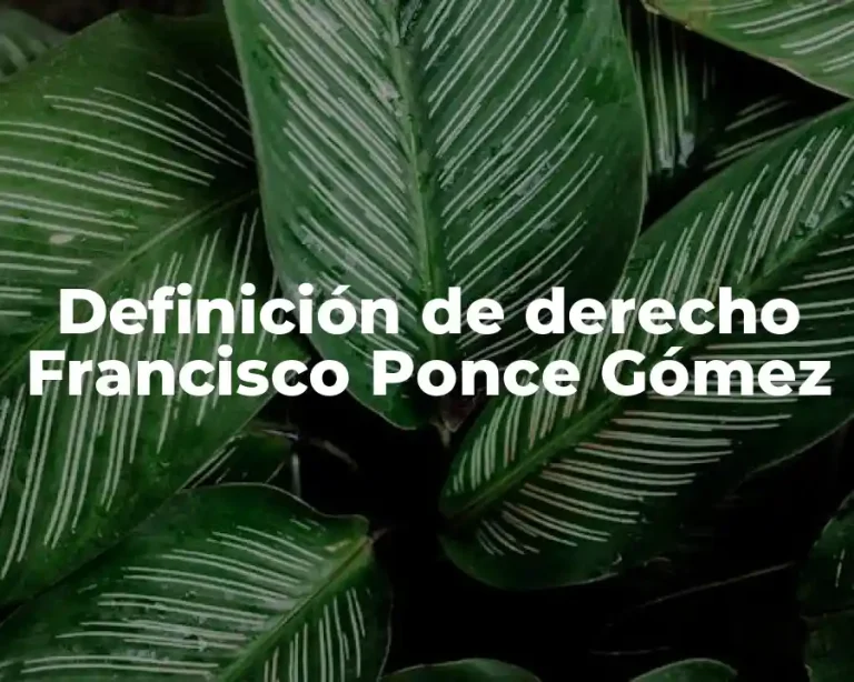 Definición de derecho Francisco Ponce Gómez