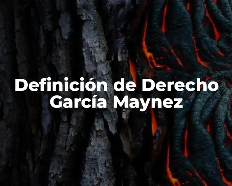Definición de Derecho García Maynez