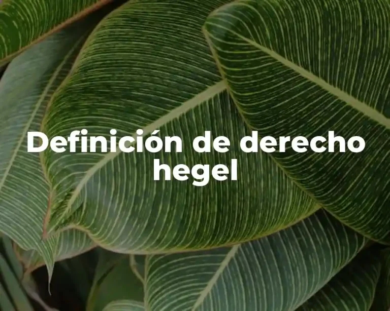 Definición de derecho hegel