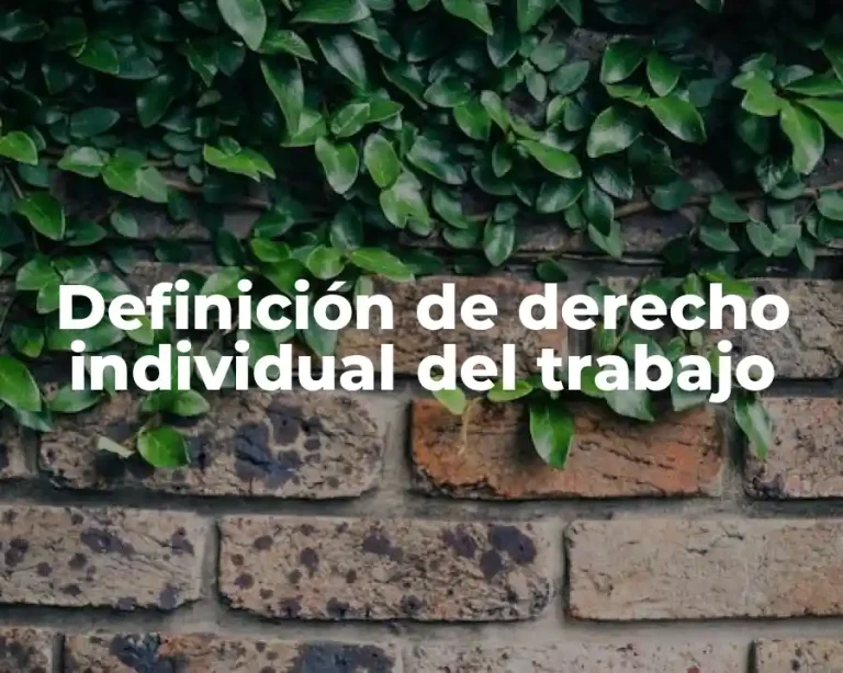 Definición de derecho individual del trabajo