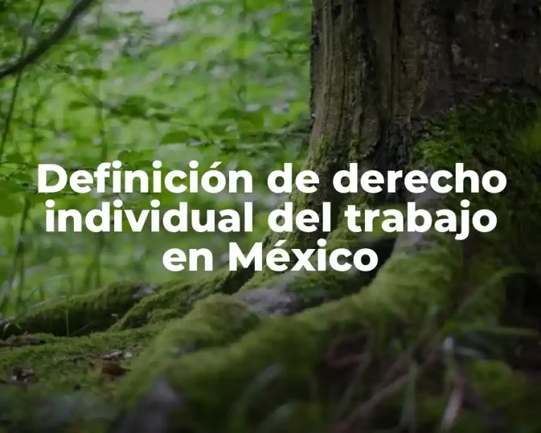 Definición de derecho individual del trabajo en México