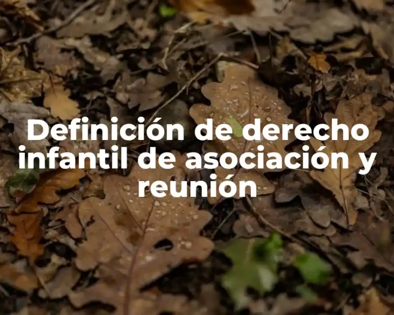 Definición de derecho infantil de asociación y reunión