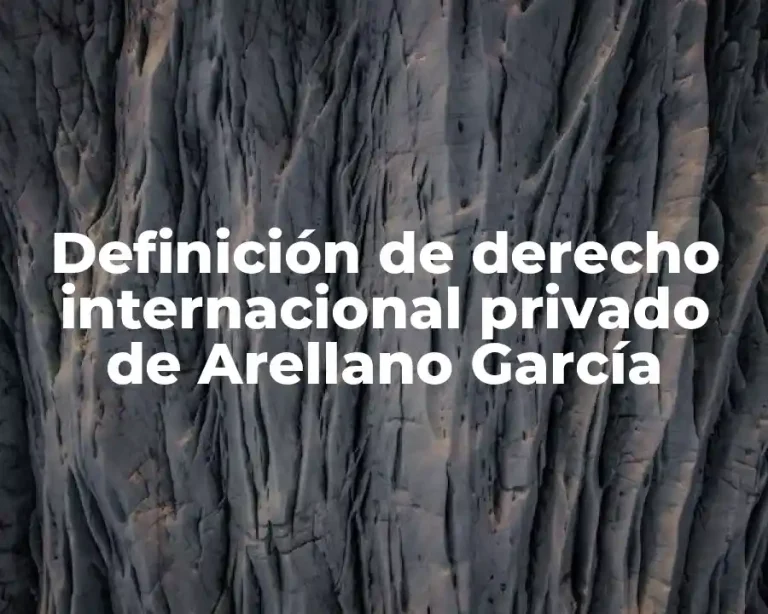Definición de derecho internacional privado de Arellano García