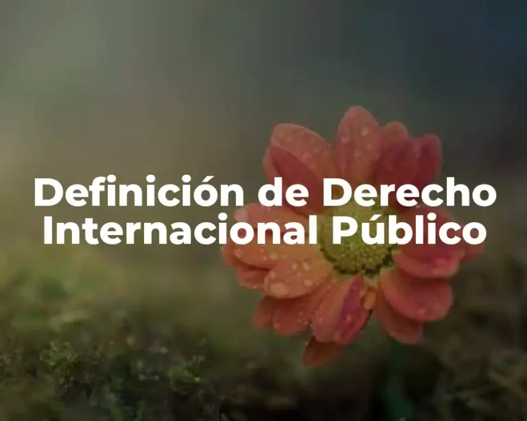 Definición de Derecho Internacional Público