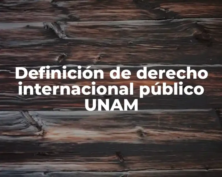 Definición de derecho internacional público UNAM