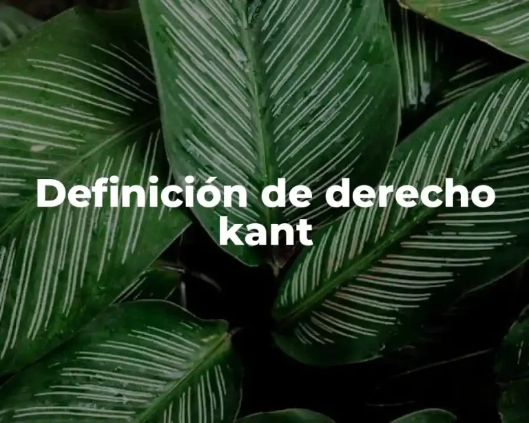 Definición de derecho kant