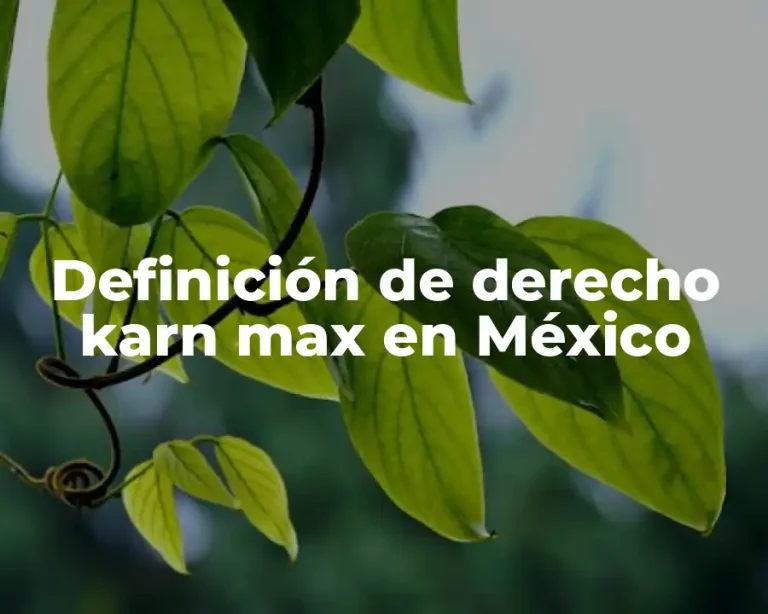 Definición de derecho karn max en México