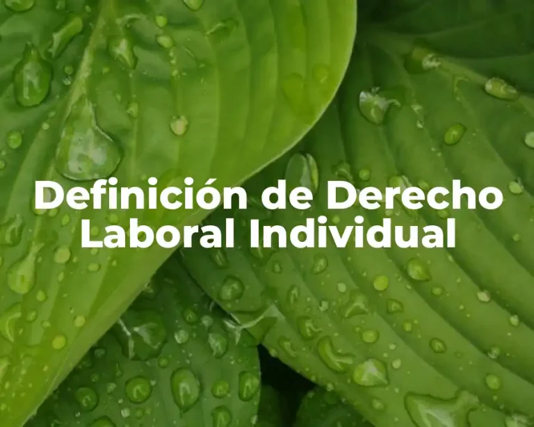 Definición de Derecho Laboral Individual