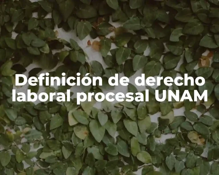 Definición de derecho laboral procesal UNAM
