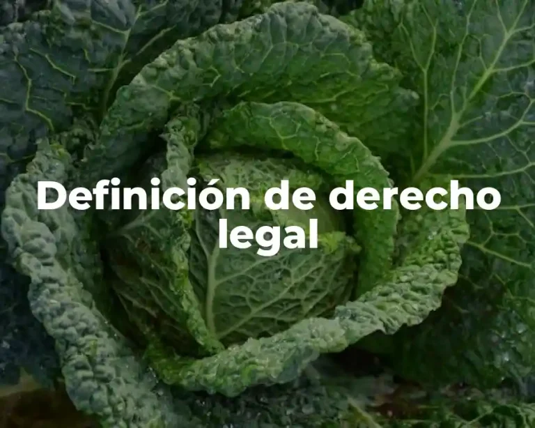 Definición de derecho legal
