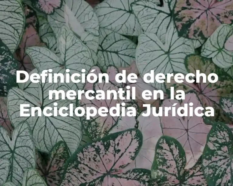 Definición de derecho mercantil en la Enciclopedia Jurídica