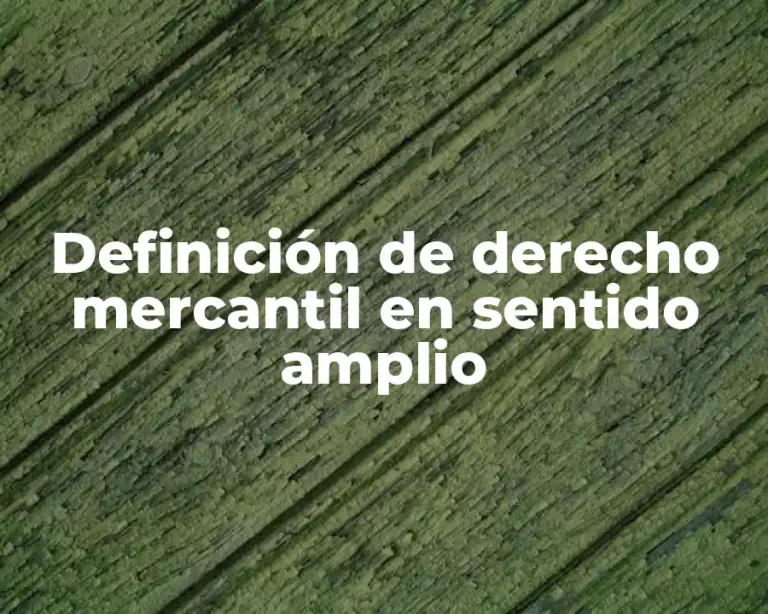 Definición de derecho mercantil en sentido amplio