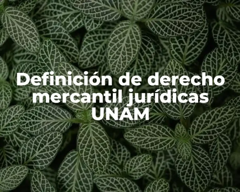 Definición de derecho mercantil jurídicas UNAM