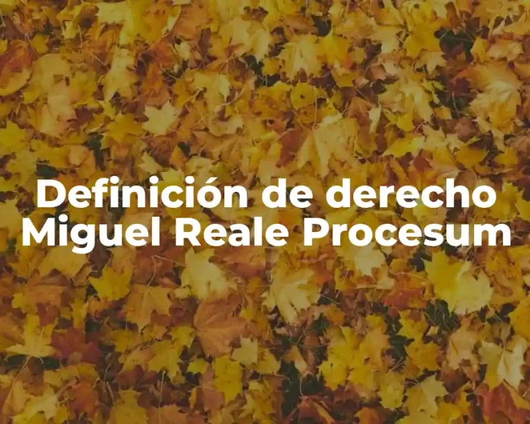 Definición de derecho Miguel Reale Procesum