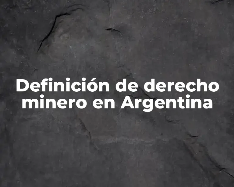 Definición de derecho minero en Argentina