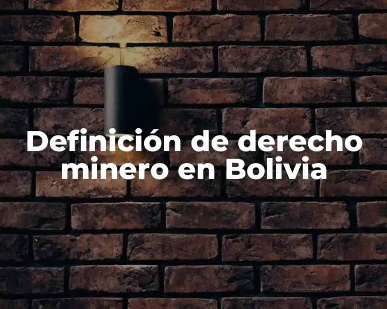 Definición de derecho minero en Bolivia
