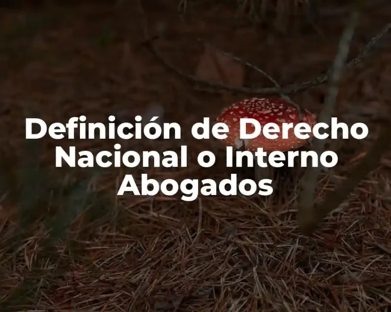 Definición de Derecho Nacional o Interno Abogados