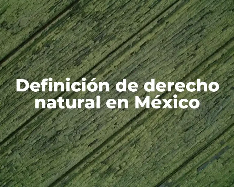 Definición de derecho natural en México