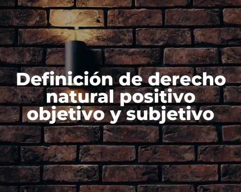 Definición de derecho natural positivo objetivo y subjetivo