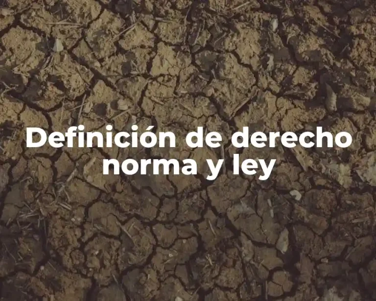 Definición de derecho norma y ley