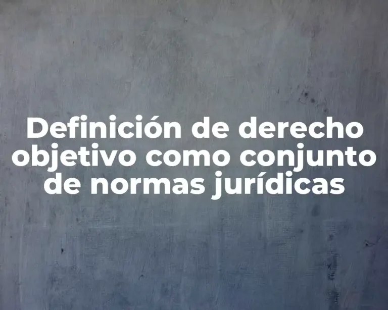 Definición de derecho objetivo como conjunto de normas jurídicas