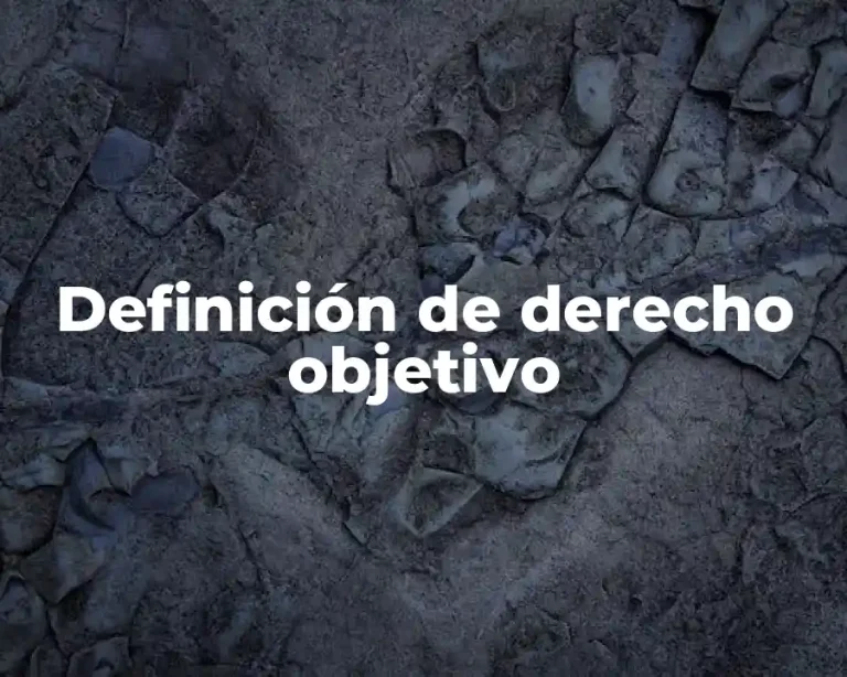 Definición de derecho objetivo