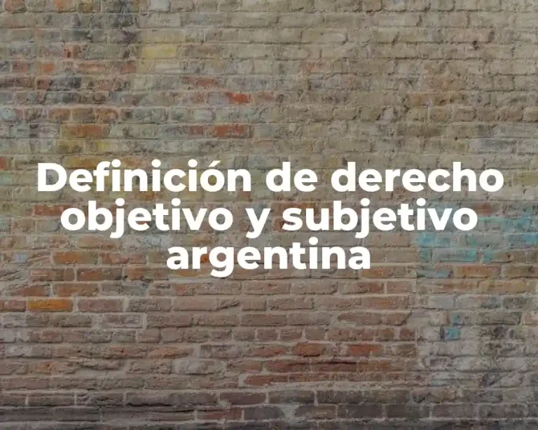 Definición de derecho objetivo y subjetivo argentina