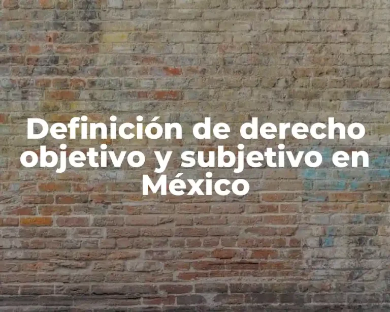 Definición de derecho objetivo y subjetivo en México