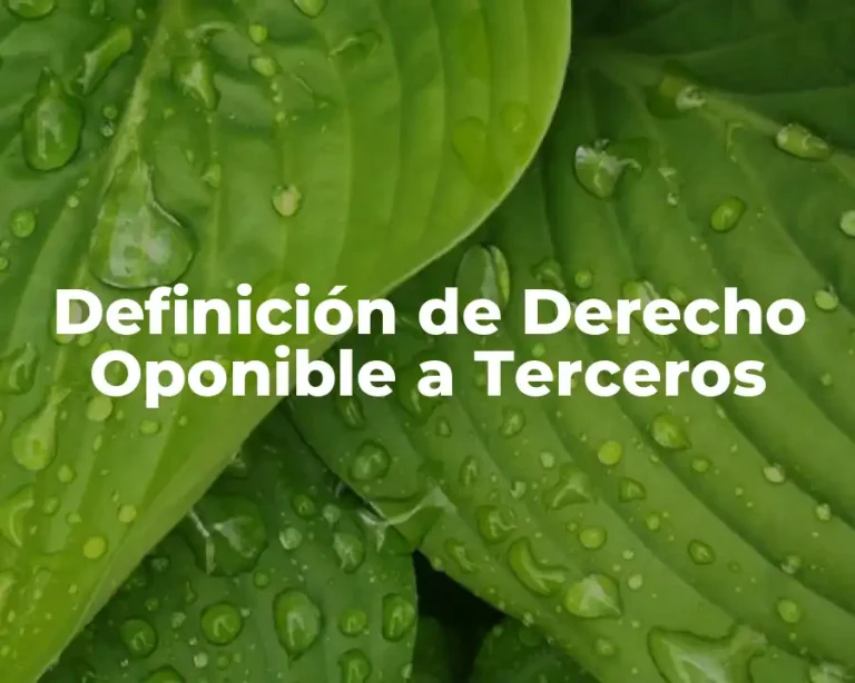 Definición de Derecho Oponible a Terceros