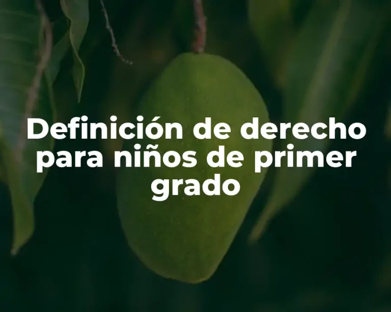 Definición de derecho para niños de primer grado