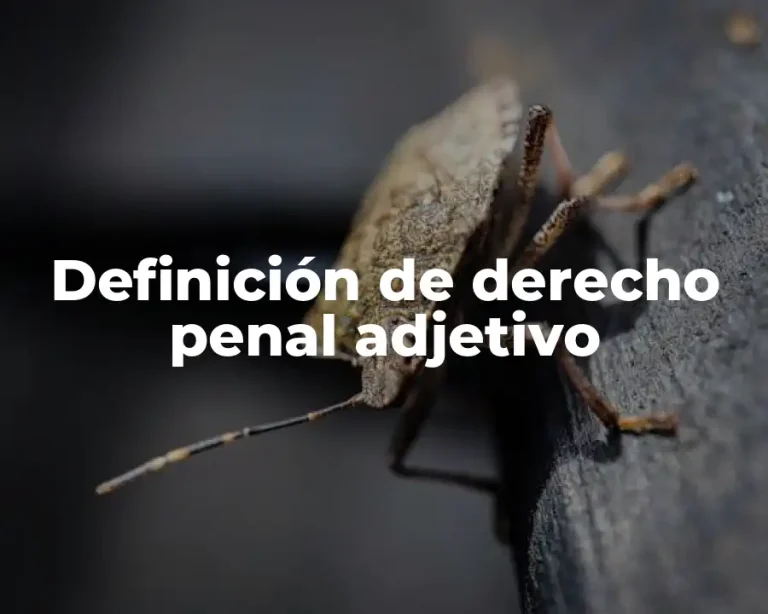 Definición de derecho penal adjetivo