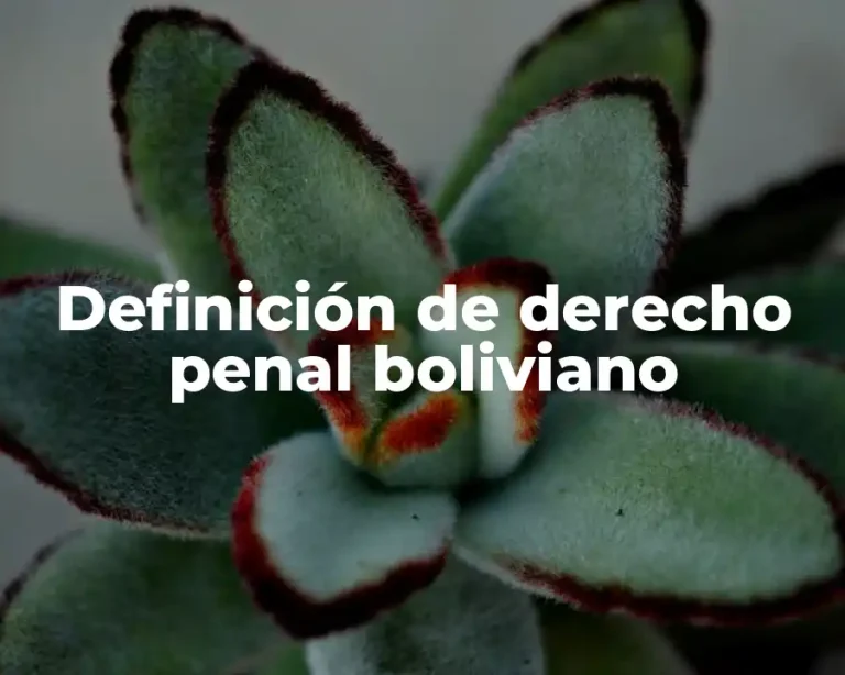 Definición de derecho penal boliviano