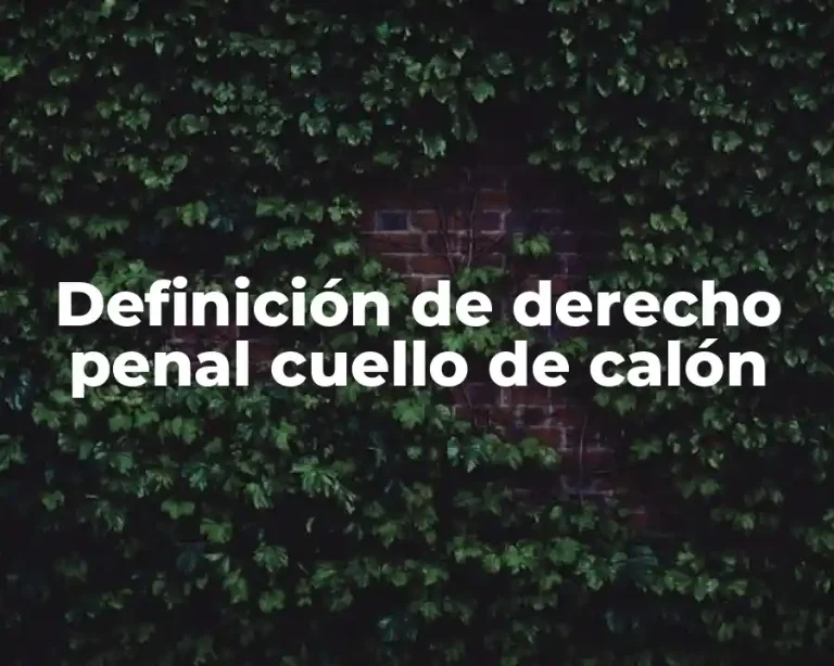 Definición de derecho penal cuello de calón