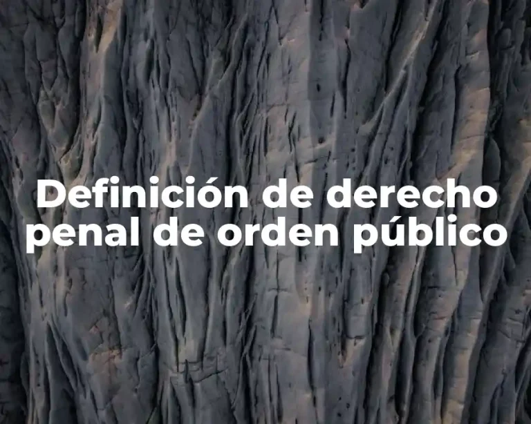 Definición de derecho penal de orden público