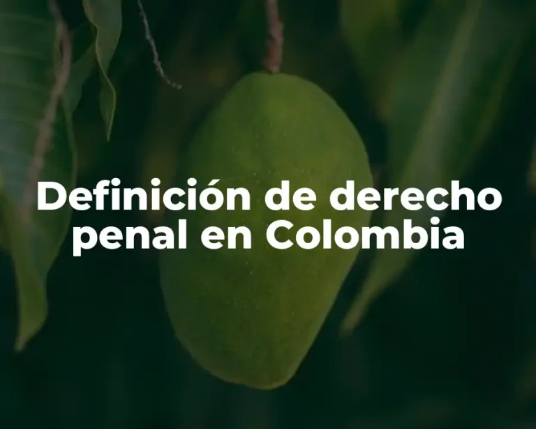 Definición de derecho penal en Colombia