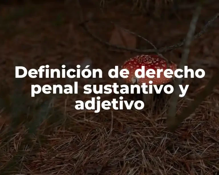 Definición de derecho penal sustantivo y adjetivo