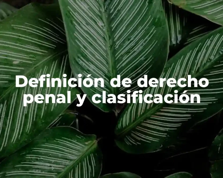 Definición de derecho penal y clasificación