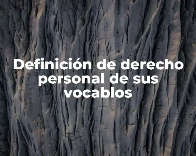 Definición de derecho personal de sus vocablos
