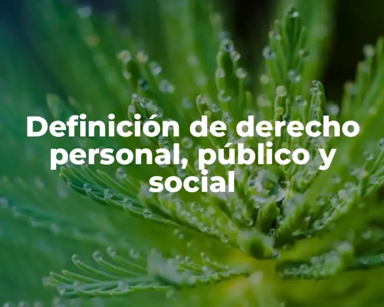 Definición de derecho personal, público y social