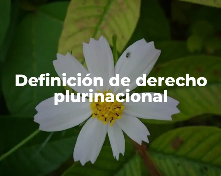 Definición de derecho plurinacional