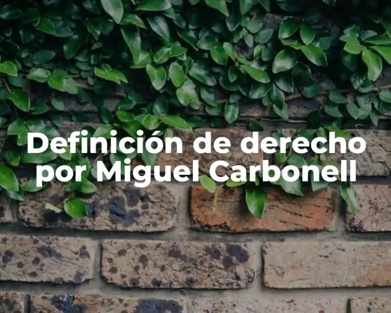 Definición de derecho por Miguel Carbonell