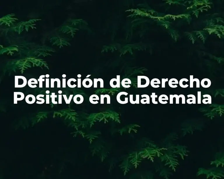 Definición de Derecho Positivo en Guatemala