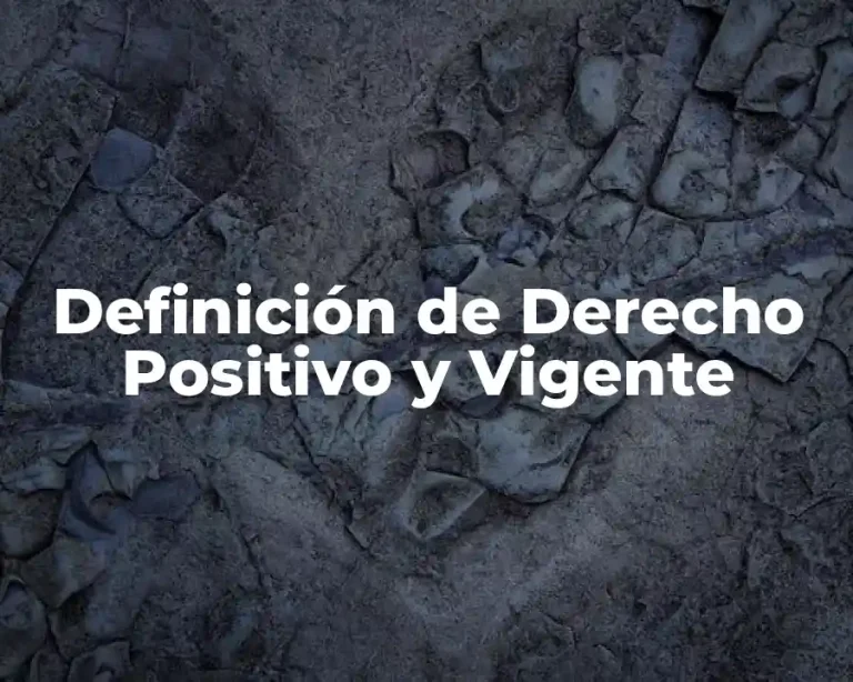 Definición de Derecho Positivo y Vigente