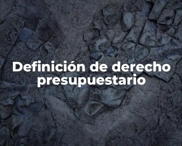 Definición de derecho presupuestario